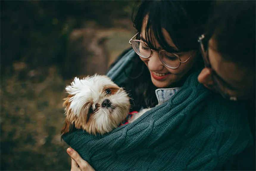 Why Is My Dog Coughing and Gagging? 5 Common Causes Explained